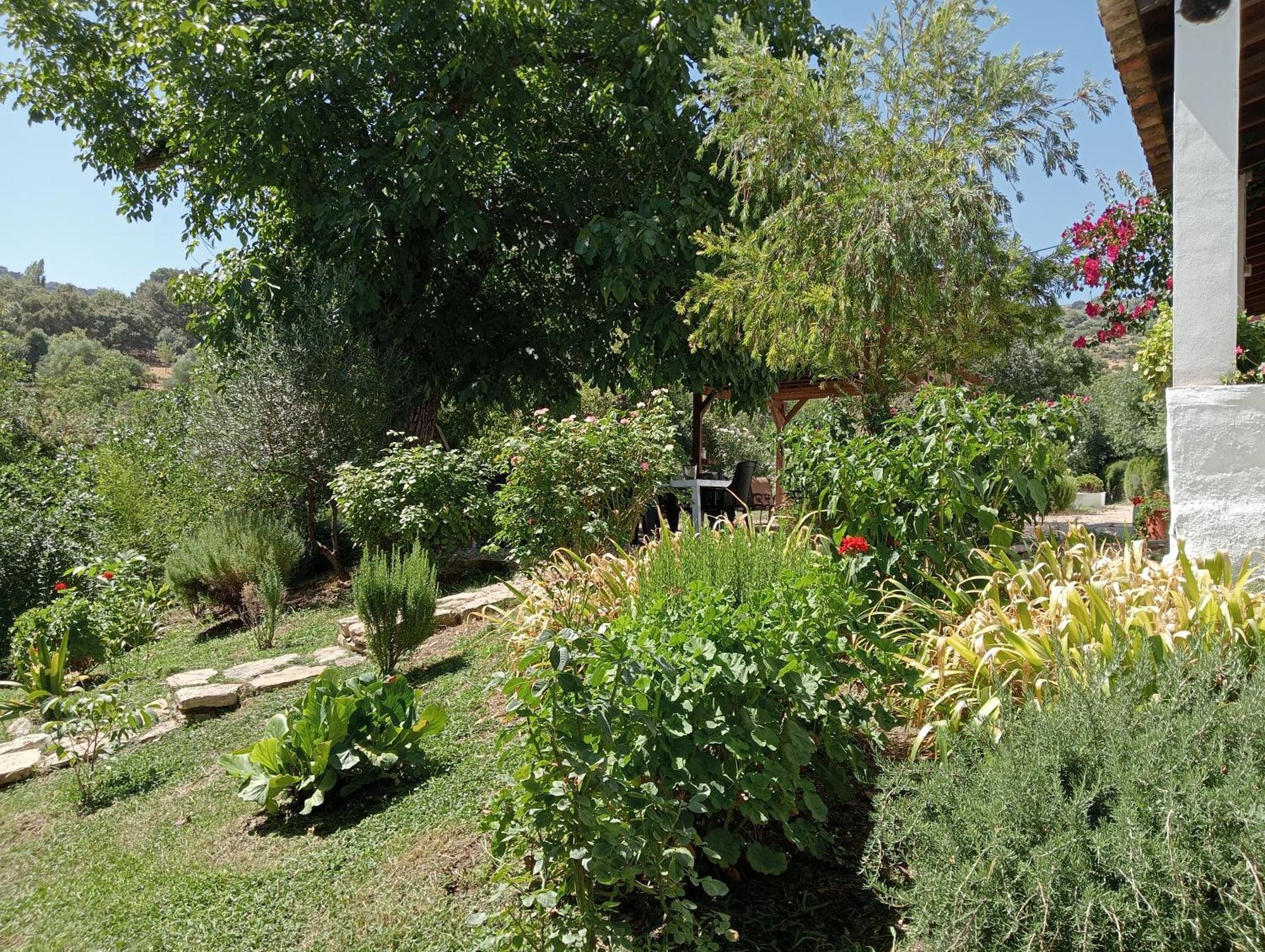 Casa Rural La Maquinilla グラサレマ エクステリア 写真