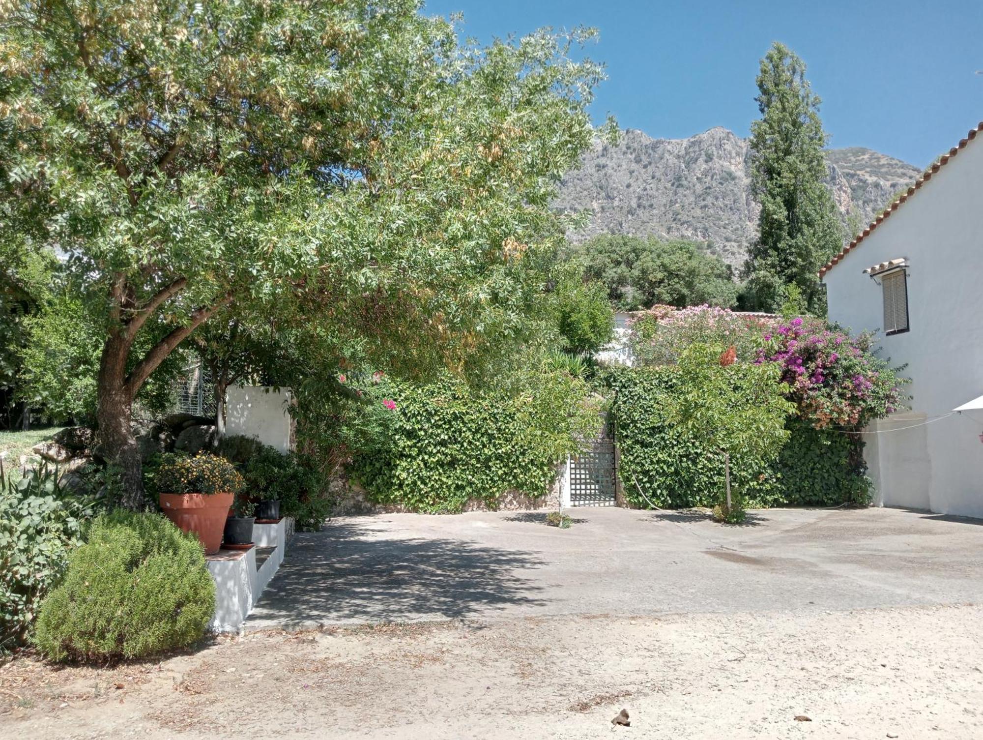 Casa Rural La Maquinilla グラサレマ エクステリア 写真