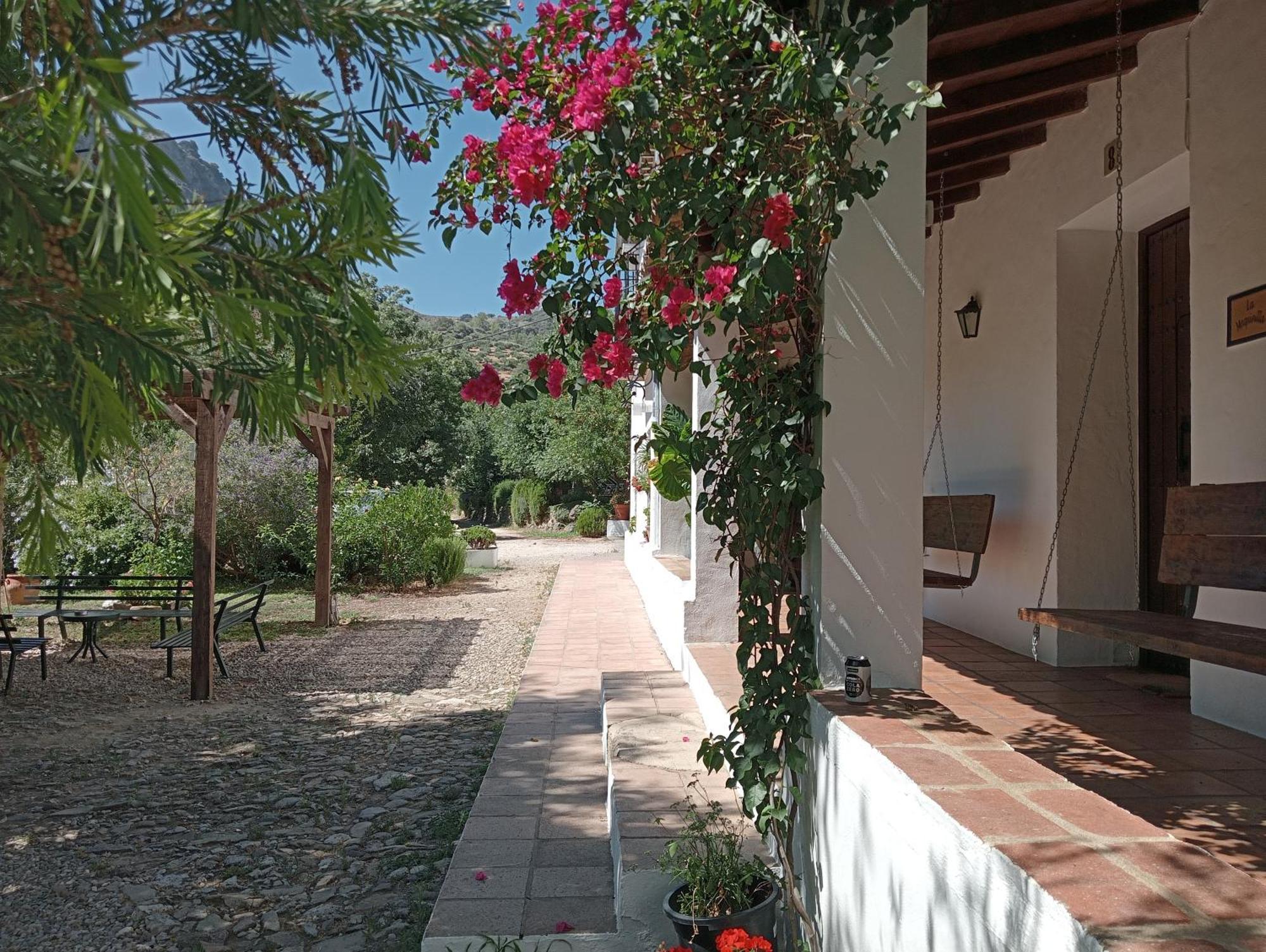 Casa Rural La Maquinilla グラサレマ エクステリア 写真
