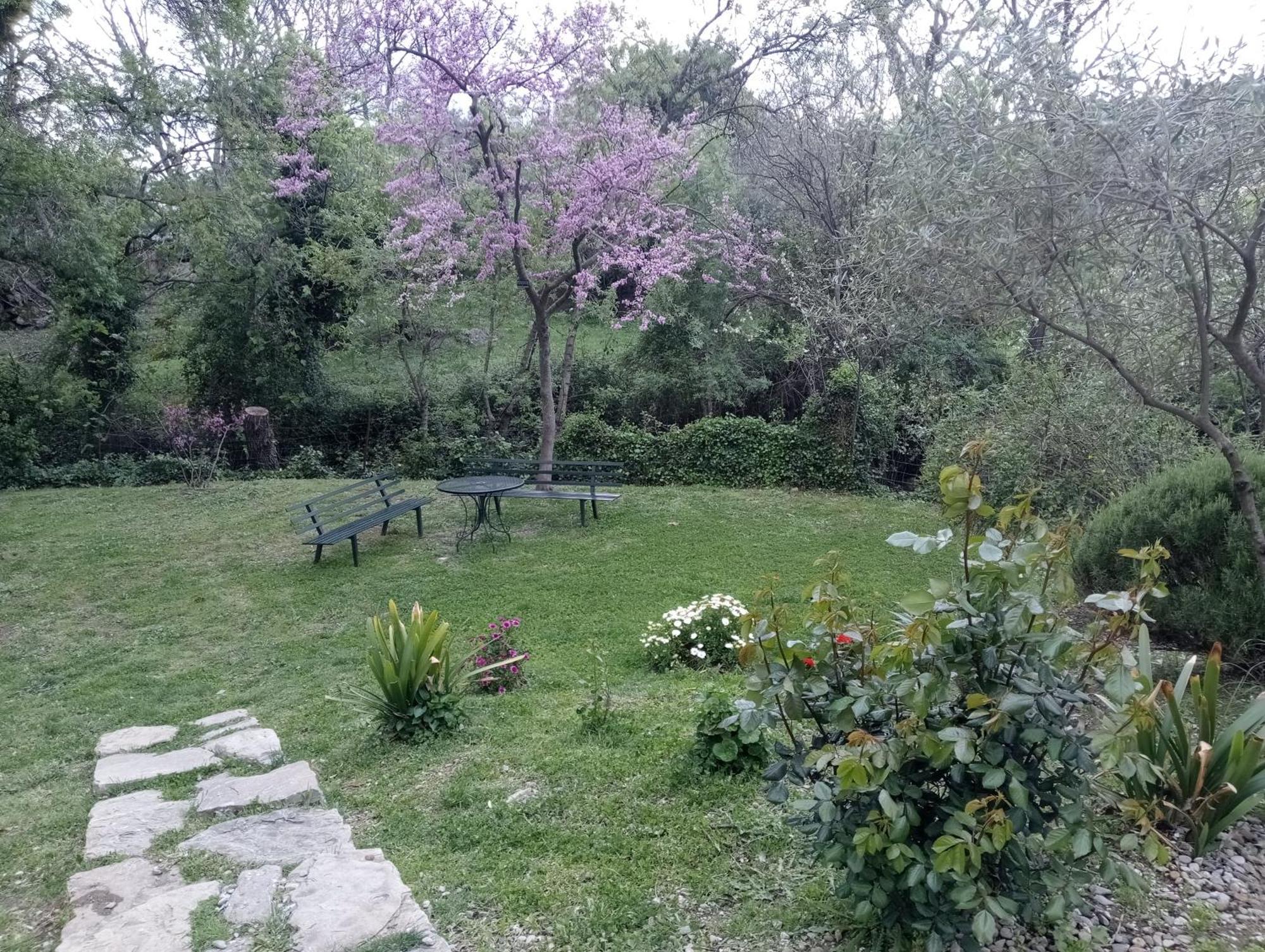Casa Rural La Maquinilla グラサレマ エクステリア 写真