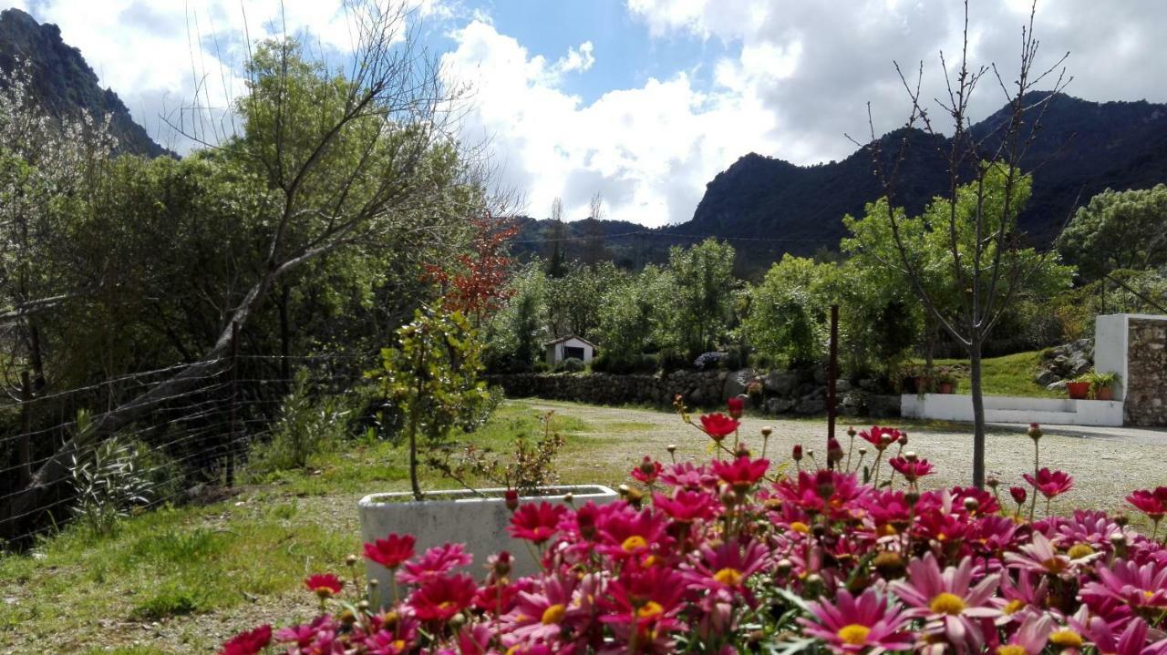 Casa Rural La Maquinilla グラサレマ エクステリア 写真