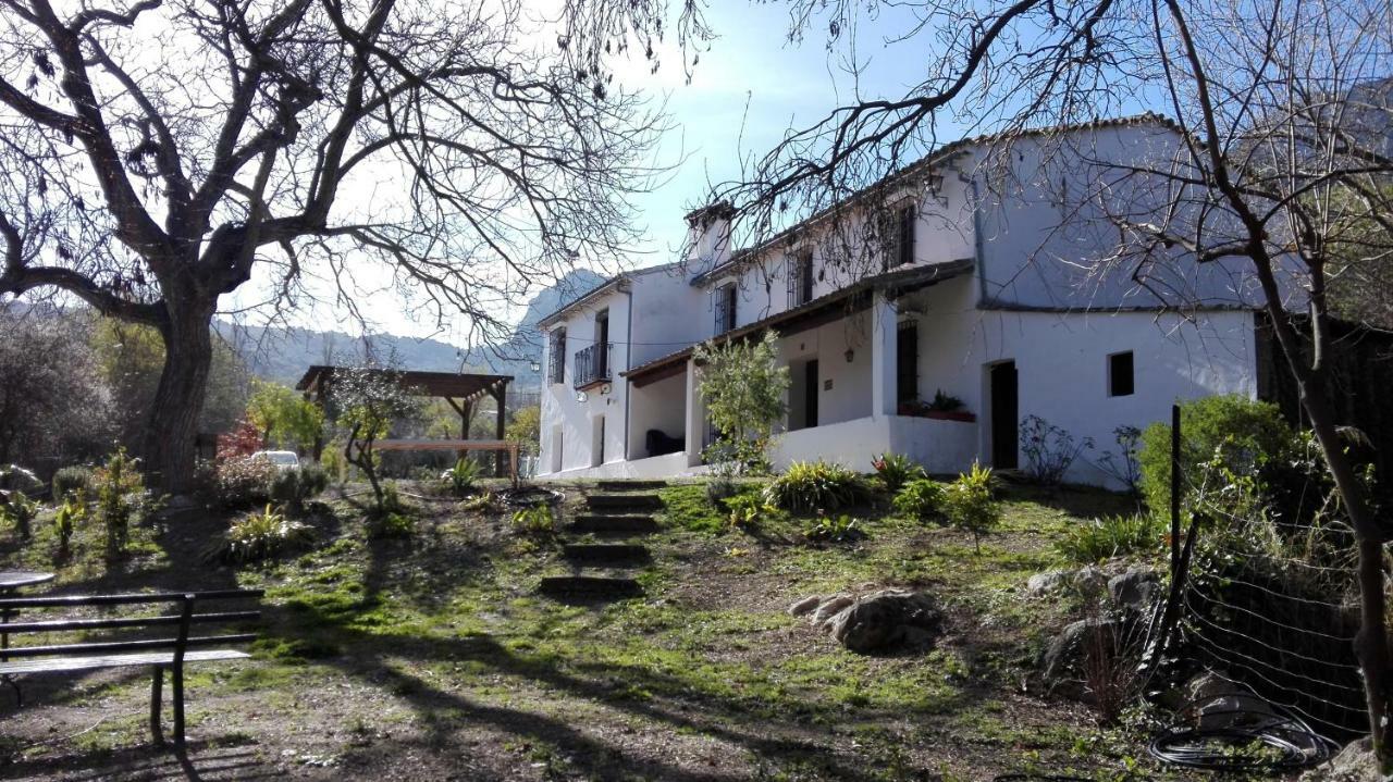Casa Rural La Maquinilla グラサレマ エクステリア 写真