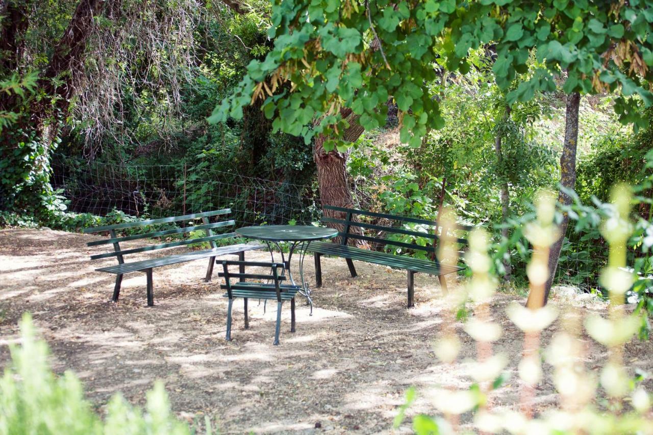 Casa Rural La Maquinilla グラサレマ エクステリア 写真